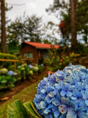 Vista Turrialba Lodge